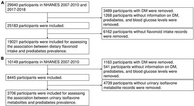 Inverse association between isoflavones and prediabetes risk: evidence from NHANES 2007–2010 and 2017–2018